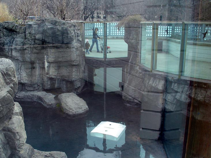 Polar Bear Habitat, Central Park Zoo, Central Park, Manhattan, March 13, 2007