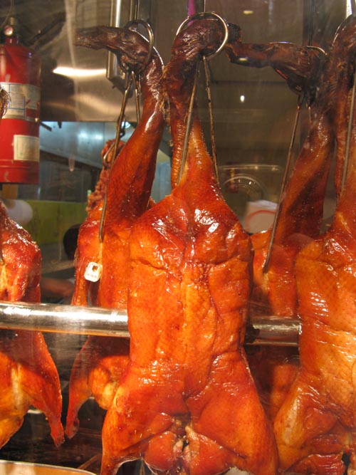 Roasted Duck in Window, Yee Li Restaurant, 1 Elizabeth Street, Chinatown, Lower Manhattan