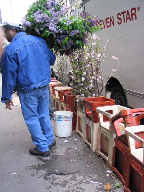 Flower District, West 28th Street Between Sixth and Seventh Avenues, Midtown Manhattan, May 2, 2005