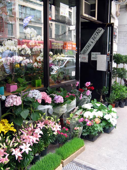 Flower District, West 28th Street Between Sixth and Seventh Avenues, Midtown Manhattan, June 1, 2008