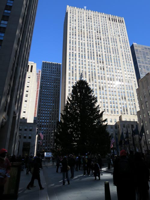 Christmas Tree, Rockefeller Center, Midtown Manhattan, November 28, 2013