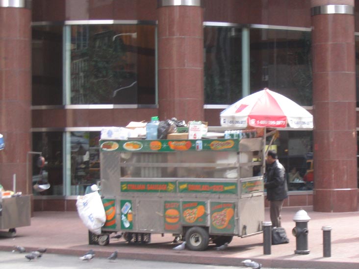 Sausage Cart in front of 885 Third Avenue, Midtown Manhattan