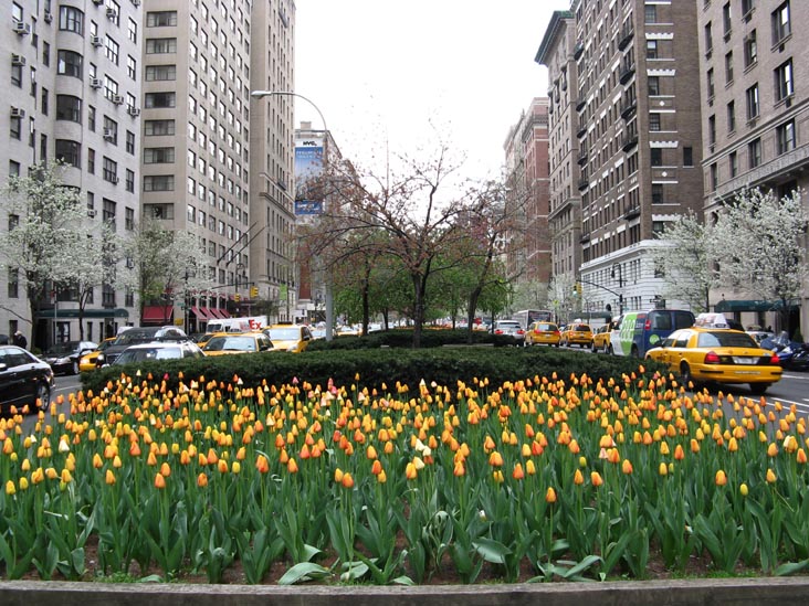 60th Street and Park Avenue, Upper East Side, Manhattan, April 20, 2009