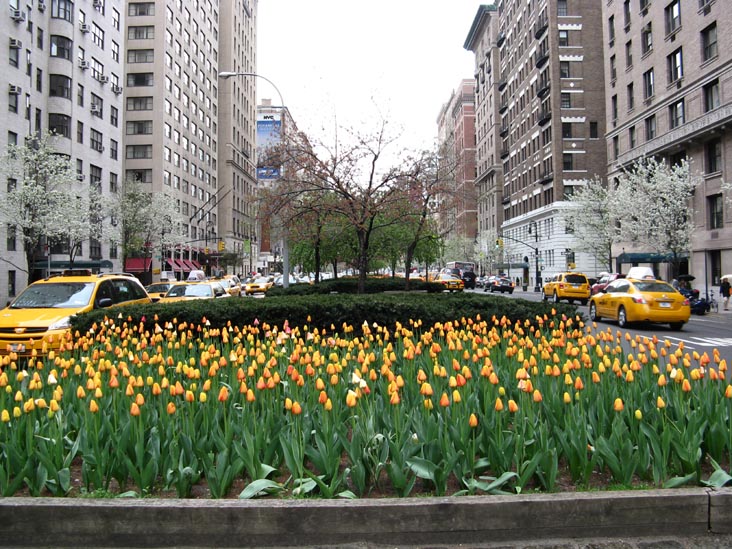 60th Street and Park Avenue, Upper East Side, Manhattan, April 20, 2009