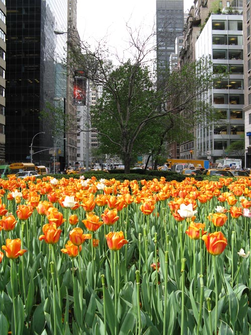 60th Street and Park Avenue, Upper East Side, Manhattan, April 29, 2009