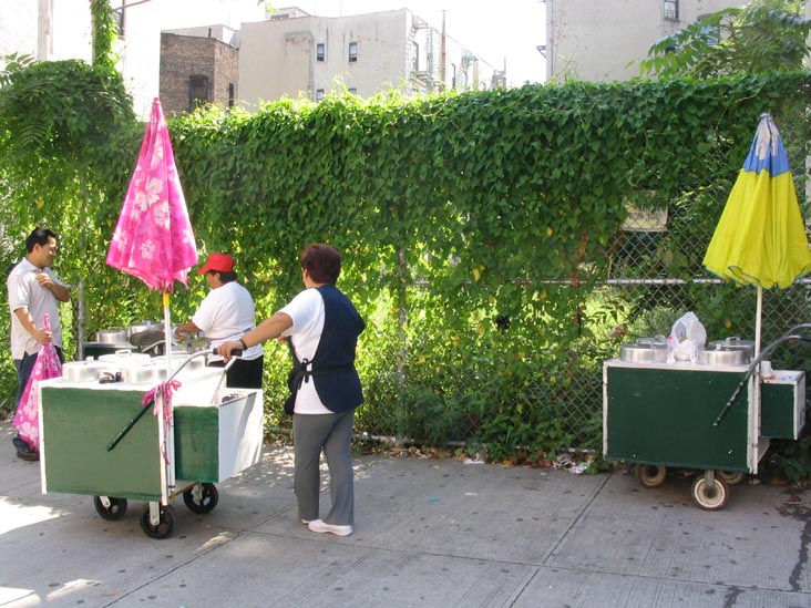 Vendor Carts, Fifth Avenue, Upper Manhattan