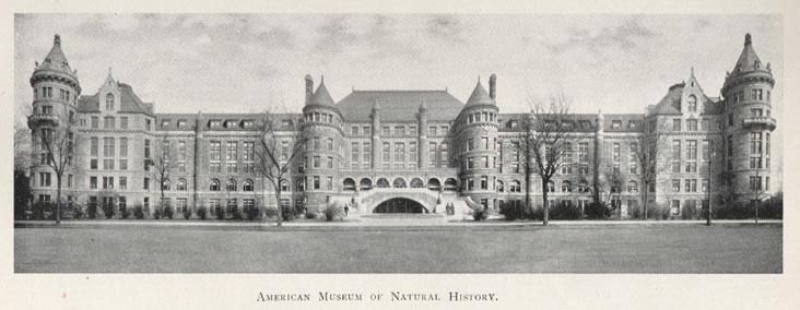 American Museum of Natural History, 1902 Parks Department Annual Report