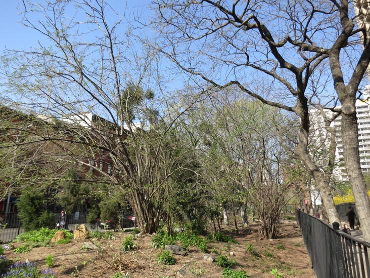 Time Landscape, University Village, Greenwich Village, Manhattan, March 28, 2012