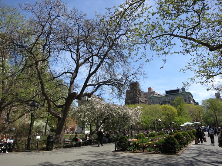 Washington Square Park, Greenwich Village, Manhattan, April 30, 2013