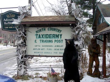 North Country Taxidermy & Trading Post, Main Street, Keene, New York