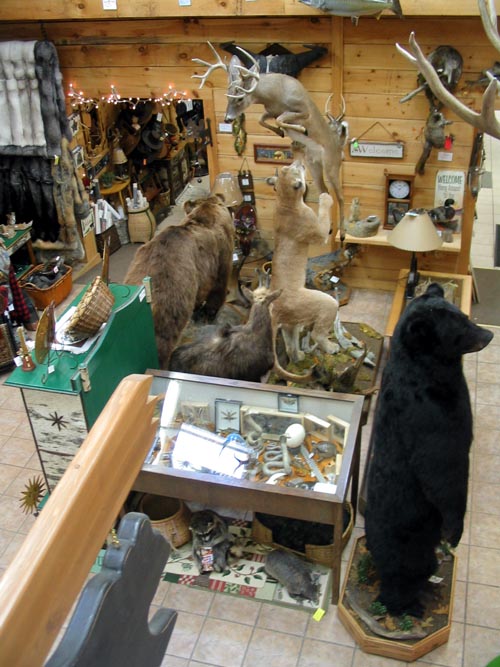 North Country Taxidermy & Trading Post, Main Street, Keene, New York