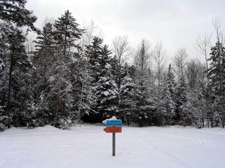 Three Trails Loop Cross Country Trail, Olympic Sports Complex, Lake Placid, New York