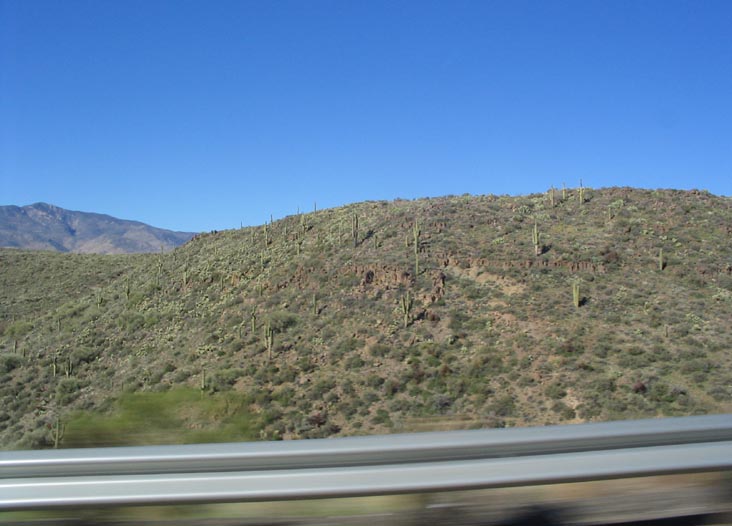 End of Cactus, Interstate 17 North of Phoenix, Arizona