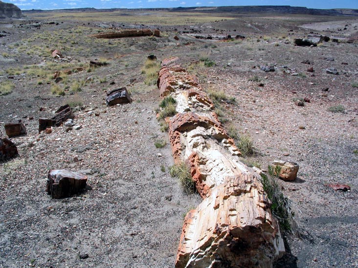 Crystal Forest, Petrified Forest National Park, Arizona