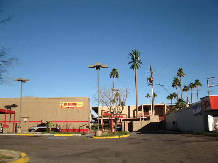 Palm Tree Stealth Monopole, 1333 West Camelback Road, Phoenix, Arizona, February 11, 2011