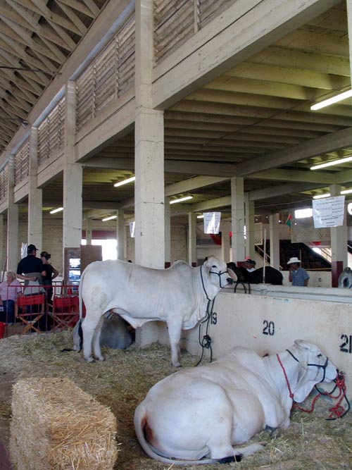 Cattle Barns, Arizona State Fair, Phoenix, Arizona