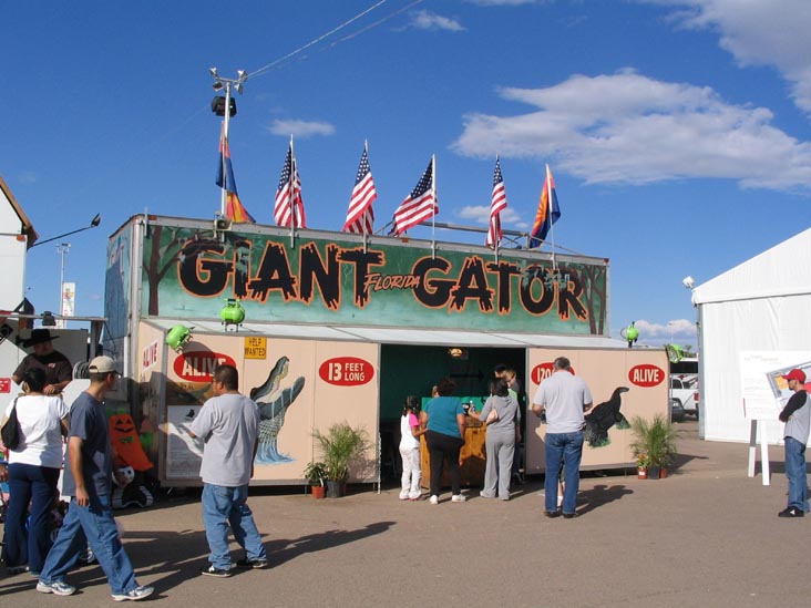 Giant Florida Gator, Arizona State Fair, Phoenix, Arizona