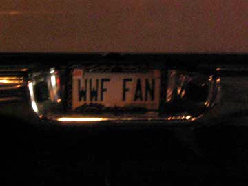 "WWF FAN" License Plate, Phoenix Greyhound Park Parking Lot