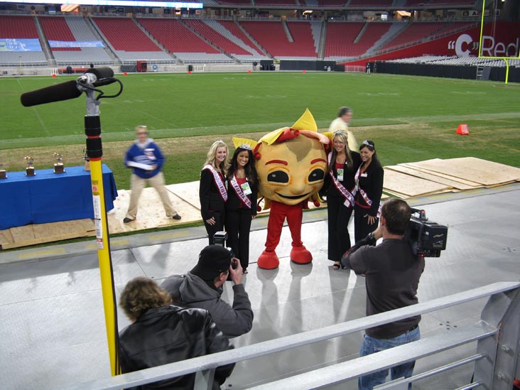 Fiesta Bowl Mascot Spirit, University of Phoenix Stadium, Glendale, Arizona