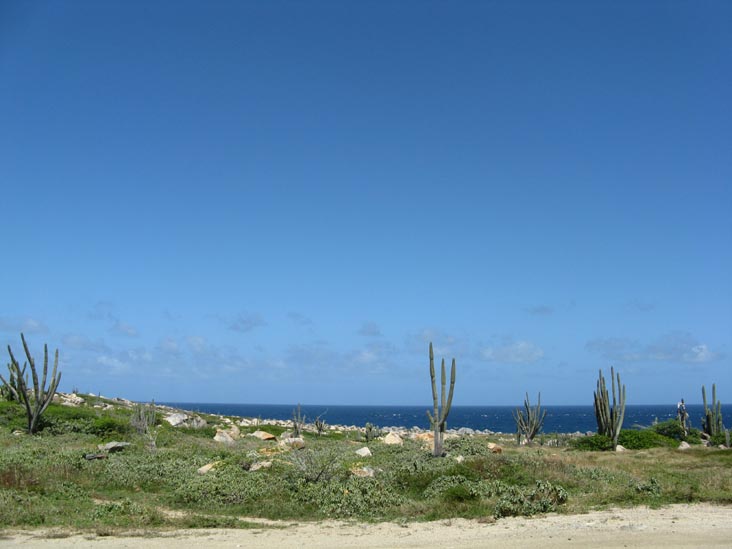 View From Alto Vista Chapel, Aruba