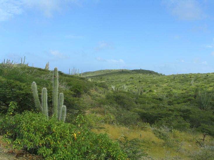 Arikok National Park, Aruba