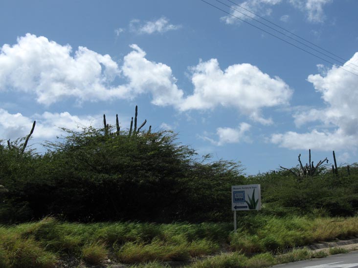 Aruba Aloe Sign From Main Road, Aruba Aloe Factory, Museum & Store, Pitastraat 115, Oranjestad, Aruba