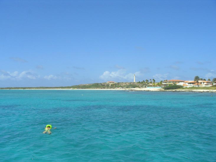 Snorkeling Near Arashi Beach, Aruba
