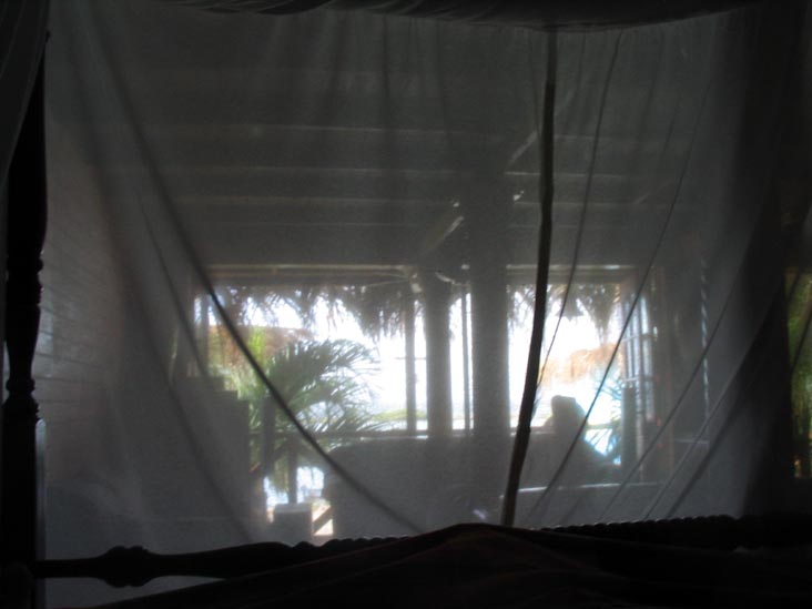 Mosquito Net, Treehouse, Coral Reef Beach, Savaneta 344a, Aruba