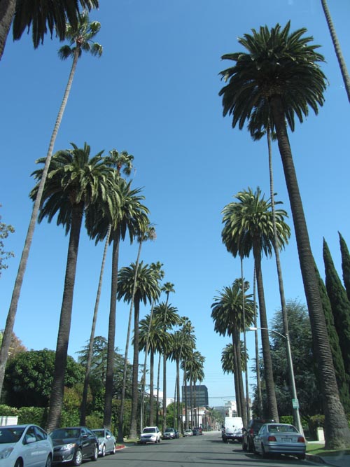 Bedford Drive Between Carmelita Avenue and Santa Monica Boulevard, Beverly Hills, California, May 20, 2012