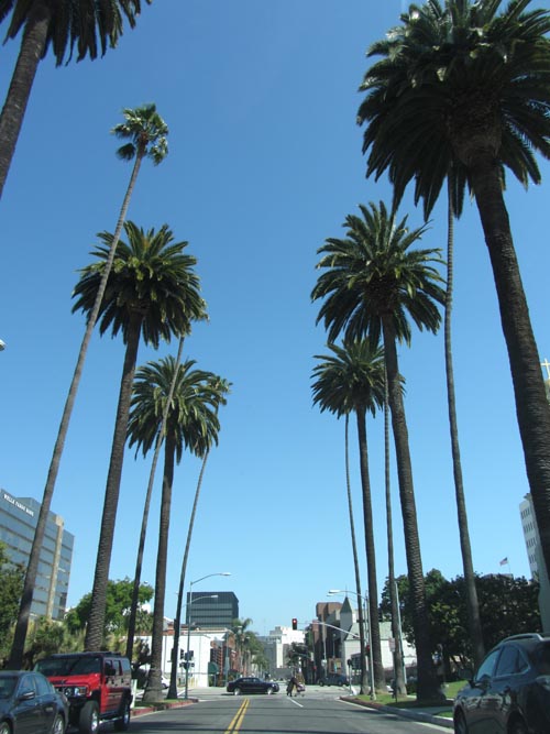 Bedford Drive Between Carmelita Avenue and Santa Monica Boulevard, Beverly Hills, California, May 20, 2012