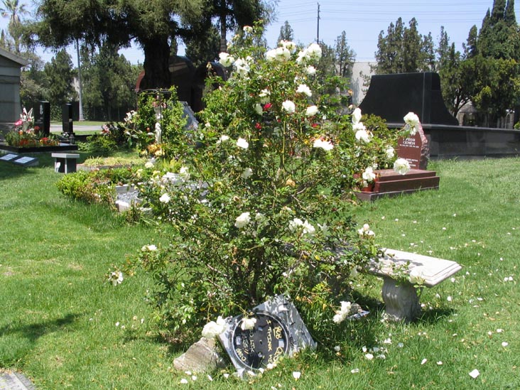 Robert Cory (DJ Rob One) Grave, Hollywood Forever Cemetery, 6000 Santa Monica Boulevard, Hollywood, California