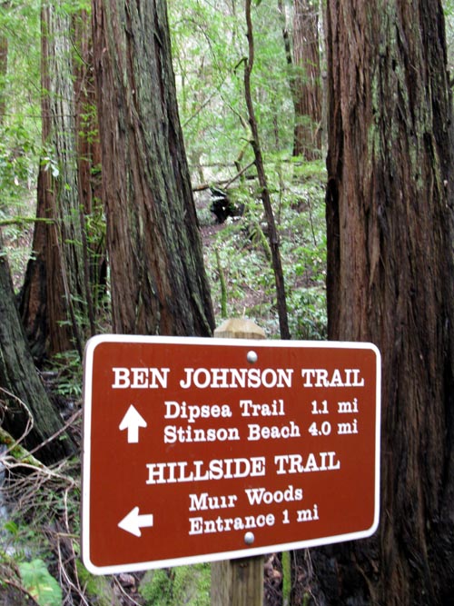 Ben Johnson Trail Turnoff, Muir Woods National Monument, Marin County, California, March 6, 2010