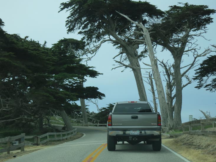 17-Mile Drive, Monterey County, California, May 15, 2012