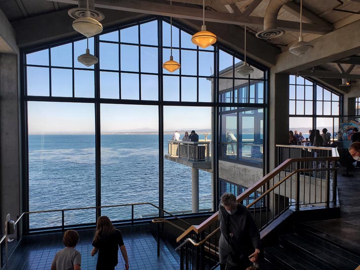 Monterey Bay Aquarium, Monterey, California, February 19, 2022
