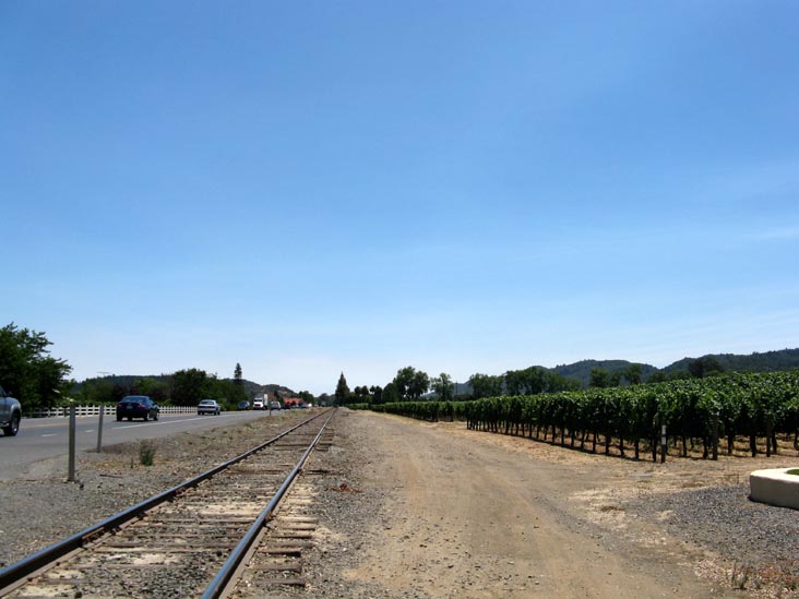 Outside Robert Mondavi Winery, 7801 St. Helena Highway, Oakville, Napa County, California, 1:36 p.m.