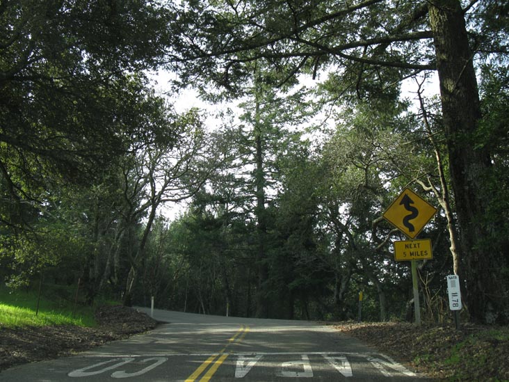 Dry Creek Road, Napa County Line, Oakville Grade, Oakville, California