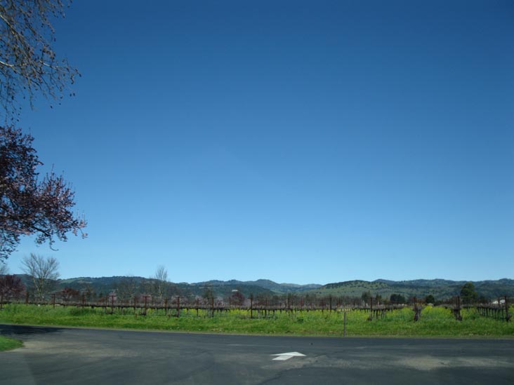 Rubicon Estate, 1991 St. Helena Highway, Rutherford, California