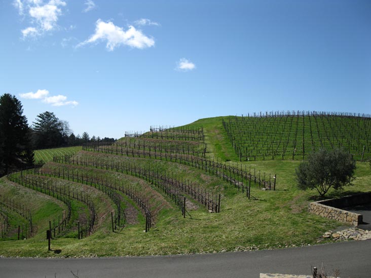 Pride Mountain Vineyards, 4026 Spring Mountain Road, St. Helena, California