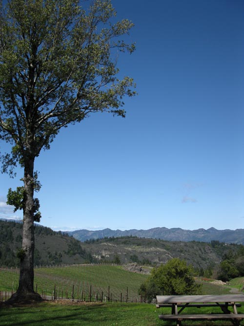 Pride Mountain Vineyards, 4026 Spring Mountain Road, St. Helena, California