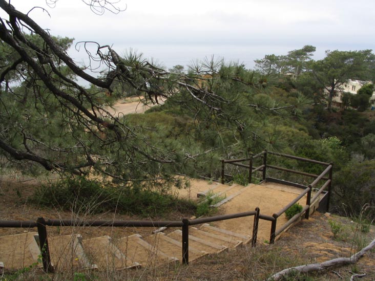 Stairs to High Point, Torrey Pines State Reserve, La Jolla, California
