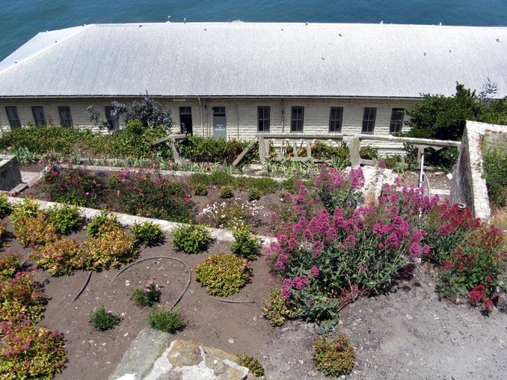 Garden, Alcatraz Island, San Francisco, California