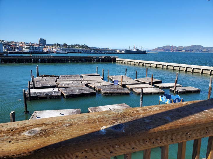 Sea Lions, Pier 39, Fisherman's Wharf, San Francisco, California, February 21, 2022