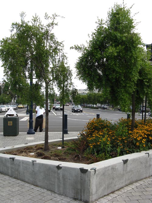Octavia Boulevard and Fell Street, Hayes Green, Hayes Valley, San Francisco, California