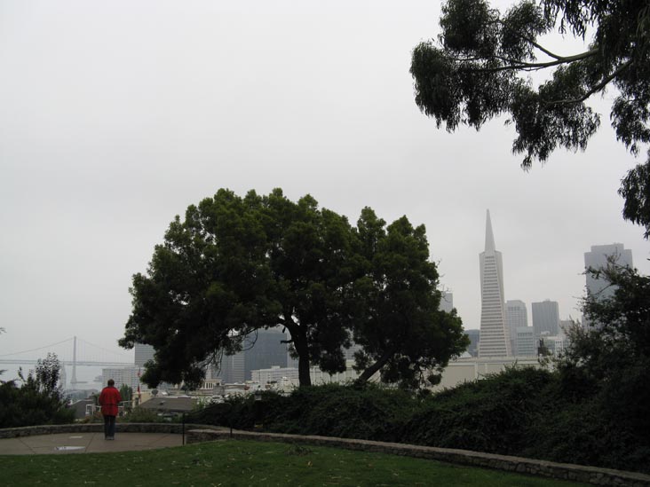 View From Pioneer Park, Telegraph Hill, San Francisco, California