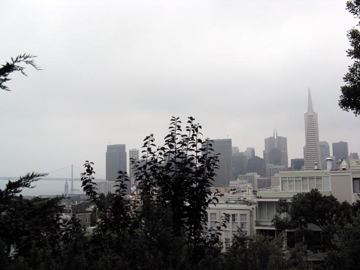 San Francisco Skyline From Pioneer Park, Telegraph Hill, San Francisco, California