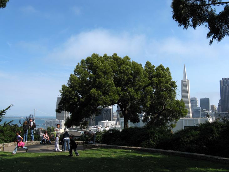 San Francisco Skyline From Pioneer Park, Telegraph Hill, San Francisco, California