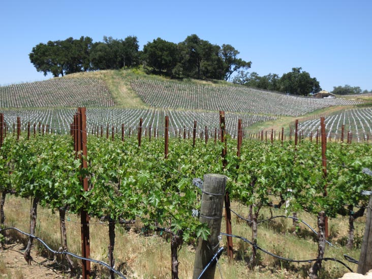 Justin Vineyards & Winery, 11680 Chimney Rock Road, Paso Robles, California