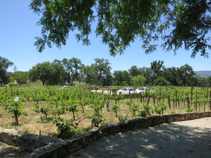 Justin Vineyards & Winery, 11680 Chimney Rock Road, Paso Robles, California