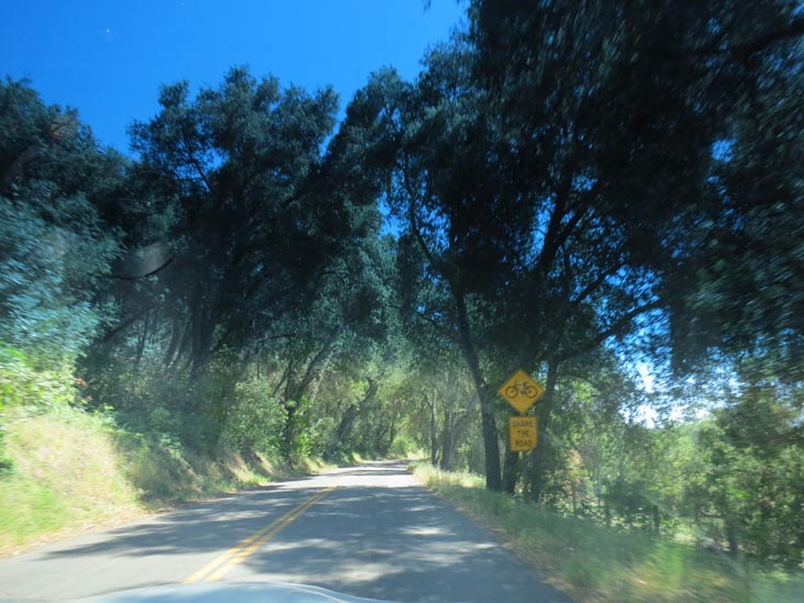 Vineyard Drive, Paso Robles, California