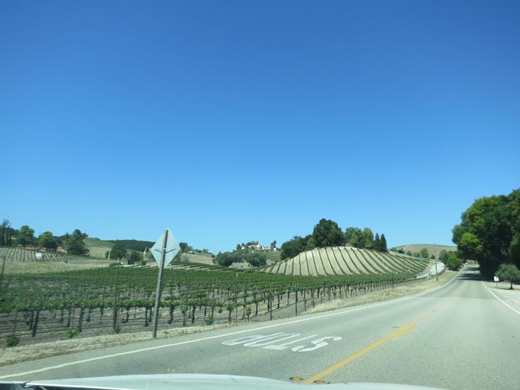 Vineyard Drive South of Route 46 Near Paso Robles, California